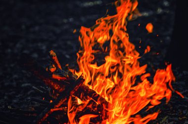 Derin Gece Ormanında Yumuşak Portakal Alevi