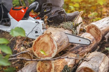 Elektrikli testereli oduncu ormanda tahta bir gövde kesiyor.