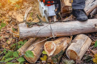 Ormanda düşen yapraklara tahta kesen elektrikli testereyi kapatın. Sonbaharda odun kesiyorum.