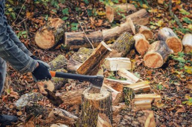 Adam baltayı tutuyor. Kışın ısınmak için odun kesiyorum. Kütük parçası. Yakacak odun yığını