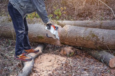 Açık hava oduncusu Ormandaki Elektrikli testereyle Devrilen Ağacı Kesiyor