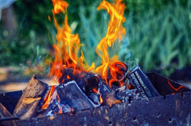 Canlı turuncu ateş yemyeşil çimlere karşı parlıyor, güçlü kontrast.