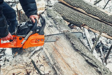 Elektrikli testere kışın ormanda bir ağaç gövdesini keser. Ormanı eski ağaçlardan temizliyorum.