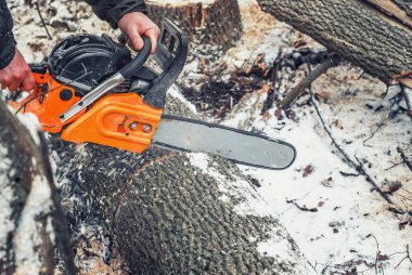 Oduncu kışın ormanda bir ağaç gövdesi keser, ormandaki eski kuru ağaçları temizler.