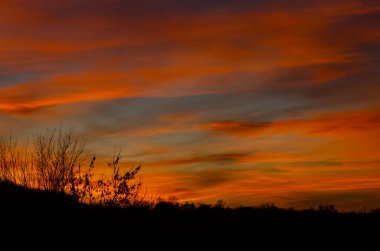 Akşam gökyüzü, gün batımında bulutlar kırmızı, turuncu, sarı güneş ışığı. Ağaçların karanlık ufku. Alacakaranlık.