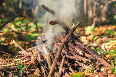 Ormandaki kuru ağaçlardan ateş yakmak. Duman havada yükselir. Düşen yaprakların ve ağaçların bulanık arkaplanı