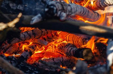 Sonbahar ormanlarında odunların üzerinde yanan alevlerle sıcak kamp ateşi