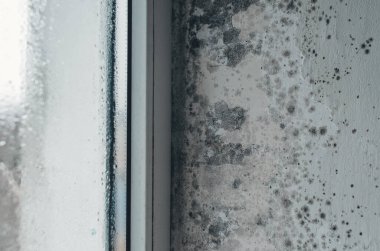 Islak duvarda, evdeki pencere çerçevelerinde koyu küf büyümesi