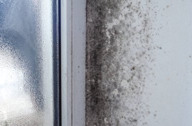 Islak duvarda, evdeki pencere çerçevelerinde koyu küf büyümesi