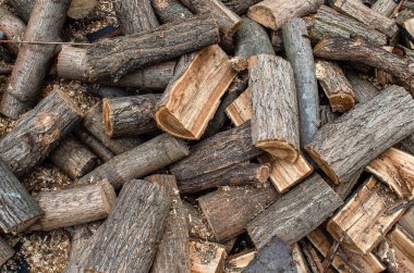 Yüzeye dağılmış odun yığını. Yakacak odun yığıyorum. Kış için odun kestim. Isıtmak için odun topluyorum.