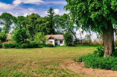 Mavi gökyüzüne karşı uzun yeşil ağaçların altında terk edilmiş eski bir kır evi olan fazla gelişmiş bir bahçe. Kırsal vintage resim