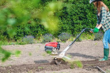 Şapkalı ve kot pantolonlu bir çiftçi bahçede benzin ekicisiyle toprak sürüyor. Çiçek açan lavanta çalıları arka plan.
