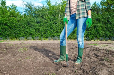Kotlu ve lastik çizmeli bir kadın toprakta çapayla çalışıyor. Tarlada çalışan çiftçi, toprağı gevşetiyor. Tarım kavramı.