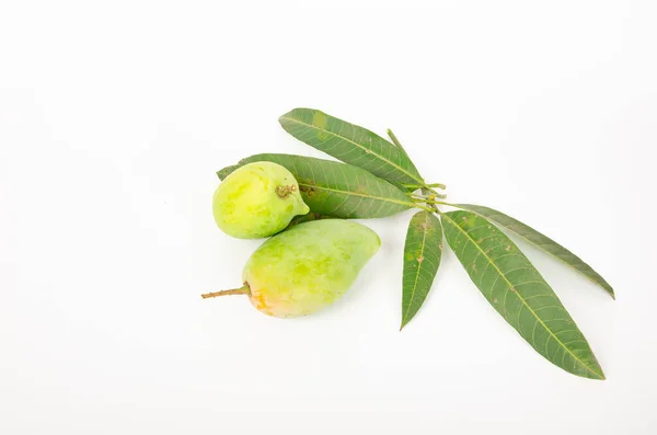 stock image fresh green mango isolated on white background