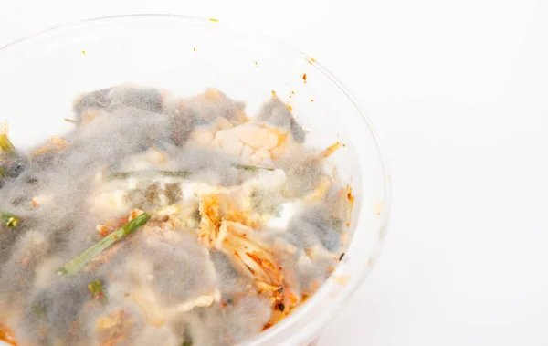 The growth of fungus is common in fermented foods