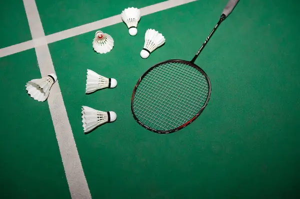 Badminton rackets and white cream badminton shuttlecocks after playing or after games on green floor in indoor badminton court  soft focus  concept for badminton lovers around the world.
