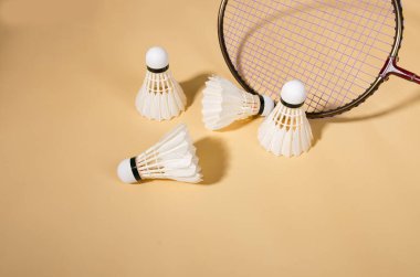 Shuttlecock badminton raketiyle oynanan bir spor ekipmanıdır. Renkli bir kağıda dizilmiş beyaz tavuk tüylerinden yapılmıştır.