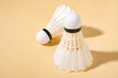 Shuttlecock badminton raketiyle oynanan bir spor ekipmanıdır. Renkli bir kağıda dizilmiş beyaz tavuk tüylerinden yapılmıştır.