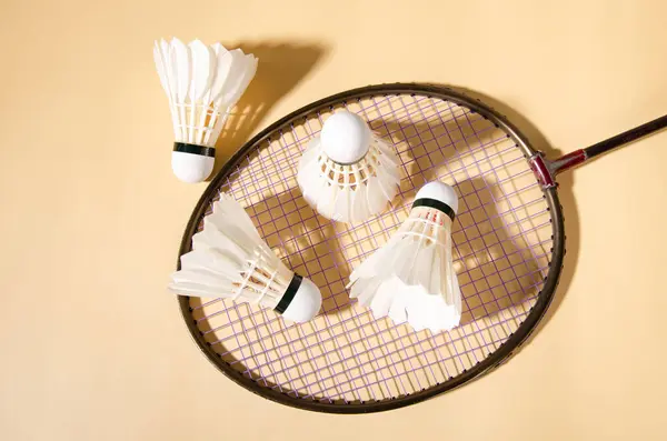 stock image Shuttlecock is a sport equipment used to play with badminton racket. Made from white chicken feathers Arranged on a of colored paper