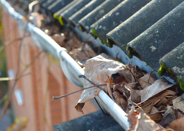 Common problem caused by Clogged Gutters with autumn leaves.  Unclog Gutters and Clean Downspouts.