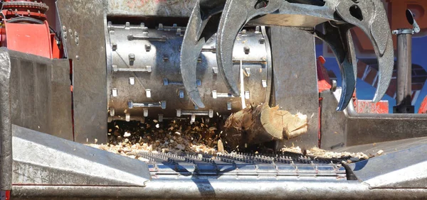 Tree Harvest Machine Corte Velho Tronco Árvore Máquina Corte Madeira — Fotografia de Stock