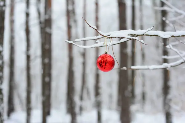 Schöner Roter Weihnachtsschmuck Rote Christbaumkugel Die Einem Ast Winterwald Hängt Stockbild