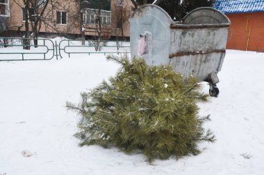 Noel ağacı geri dönüşümü. Noel ağacı kış tatilinden sonra bir caddeye asılır..