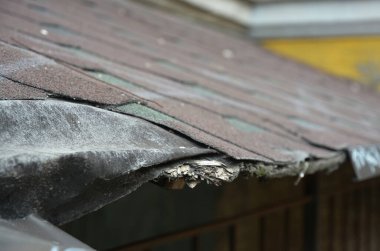 Çatı sorunlarına yakın çekim, asfalt kiremitli çatı döşeme hasarı, kötü ve profesyonelliğe aykırı kurulum sonucu damlayan kenar yokluğu. Çatı tamir edilmeli.. 