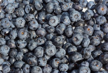 Olgun taze yaban mersinli üst manzara. Taze yaban mersini, vitaminleri ve antioksidanları nedeniyle sağlık için en faydalı meyvelerden biridir..