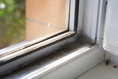 Temizlenmesi gereken kirli bir UPVC pencere çerçevesi. Tozlu bir pencere ve sivrisinek ekranının içinden bir manzara. 