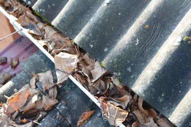 Sonbahar yapraklarıyla tıkanmış olukların neden olduğu yaygın bir sorun. Çukurları açın ve su çıkışlarını temizleyin. Sonbaharda yaprakları temizleyen asbest çatı ve yağmur oluğu..