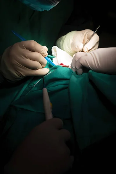Primer Plano Las Manos Del Cirujano Operando Una Lesión Dermatológica —  Fotos de Stock