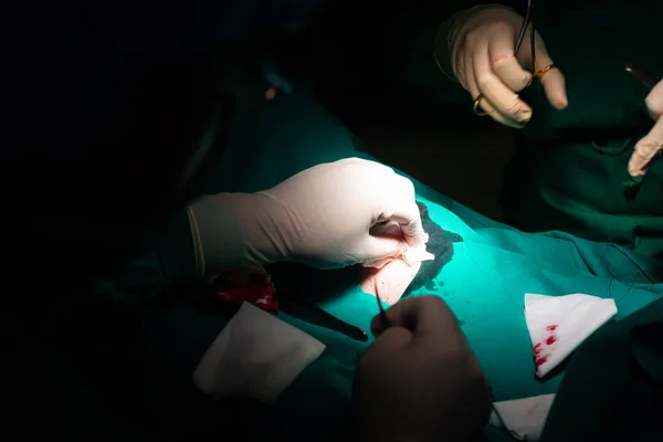 Detailní Záběr Rukou Chirurga Čistí Pokožku Sterilní Gázou Při Šití — Stock fotografie