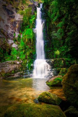 Ağaçların, yaprakların ve yosunların bulunduğu bir ormanın ortasında, ağaçlar ve çalılarla çevrili kayalardan taşlarla ve dallarla çevrili küçük bir gölete dökülen bir şelale..