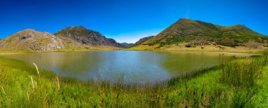 Sazlıklar ve çalılıklarla çevrili ve arka plandaki dağlarda sığırlar ve dağlık bir ufuk ile gölün üzerine yansıyan ışıkla panoramik bir göl. Açık mavi bir gökyüzü