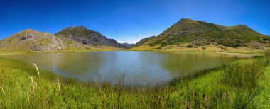 Sazlıklar ve çalılıklarla çevrili ve arka plandaki dağlarda sığırlar ve dağlık bir ufuk ile gölün üzerine yansıyan ışıkla panoramik bir göl. Açık mavi bir gökyüzü