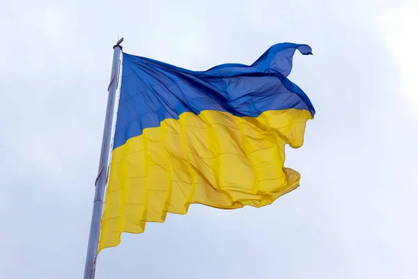 Agitant Dans Vent Drapeau National Ukraine Contre Ciel Bleu — Photo