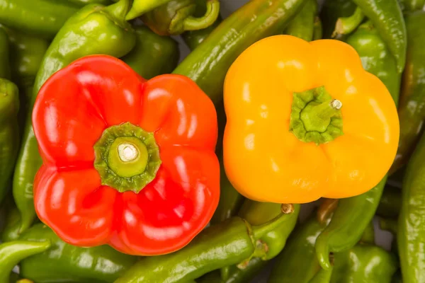Green Hot Peppers Red Yellow Bell Peppers Vitamin Vegetables Health — Stock Photo, Image