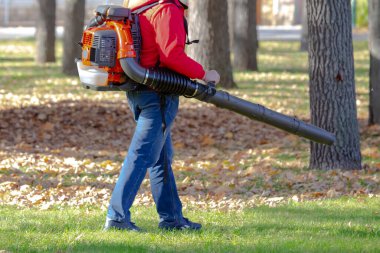 Parkta çalışmak yaprakları üfleyiciyle temizler. Park temizleme servisi. Sonbaharda düşen yaprakları kaldırmak.