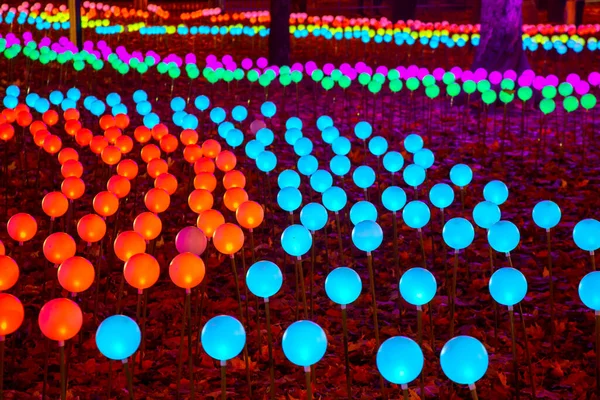 Kolorowe Świecące Kulki Girlandy Parku Miejskim Ulica Światło Kolor Dekoracji — Zdjęcie stockowe
