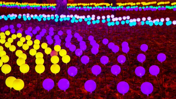 Boules Rougeoyantes Colorées Guirlandes Dans Parc Ville Lumière Rue Couleur — Photo