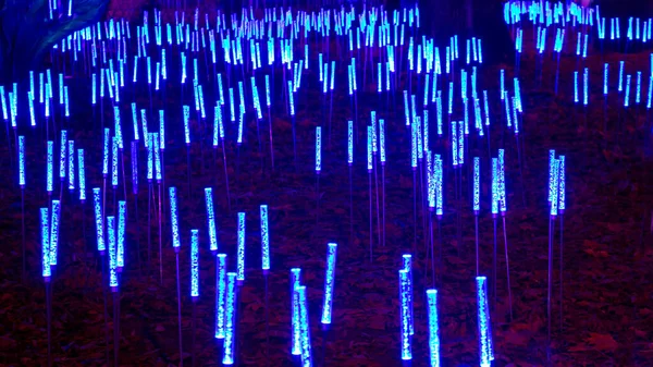 Éclairage Led Couleur Dans Parc Lumière Rue Couleur Festival Décoration — Photo