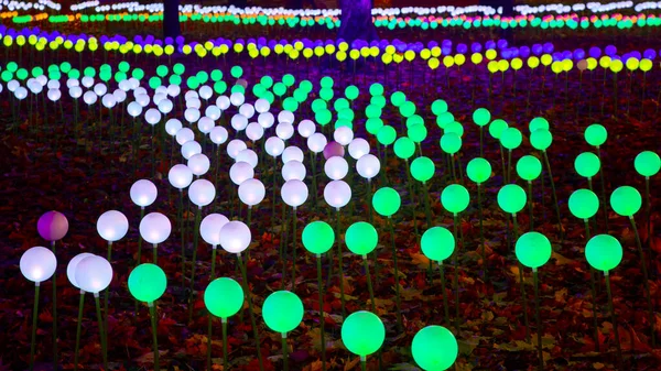 Gekleurde Gloeiende Ballen Bloeien Het Stadspark Straat Licht Kleur Festival — Stockfoto
