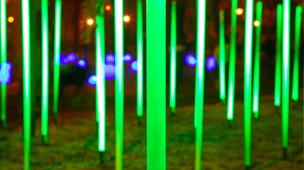 Φωτισμός Led Χρώμα Στο Πάρκο Φως Του Δρόμου Διακόσμηση Φεστιβάλ — Φωτογραφία Αρχείου