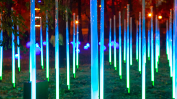 Φωτισμός Led Χρώμα Στο Πάρκο Φως Του Δρόμου Διακόσμηση Φεστιβάλ — Φωτογραφία Αρχείου