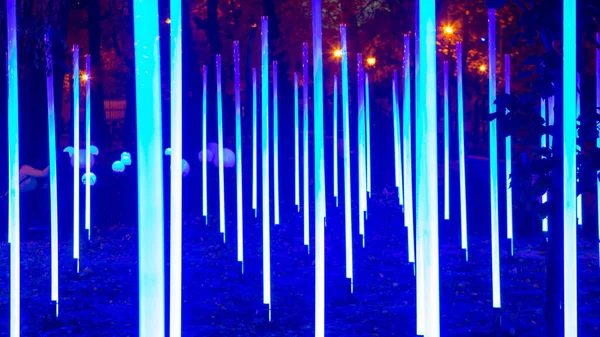 Illuminazione Led Colori Nel Parco Strada Luce Colore Festival Decorazione — Foto Stock