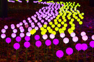 Parkta LED renk aydınlatması. sokak ışığı renk festivali dekorasyonu