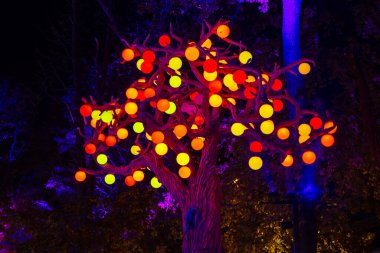 Parkta LED renk aydınlatması. sokak ışığı renk festivali dekorasyonu