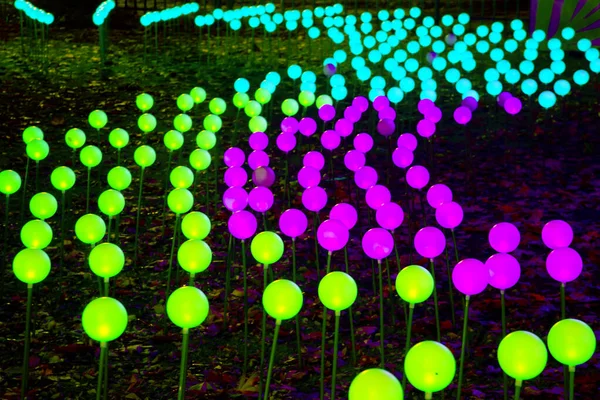 color LED illumination in the park. street light color festival decoration
