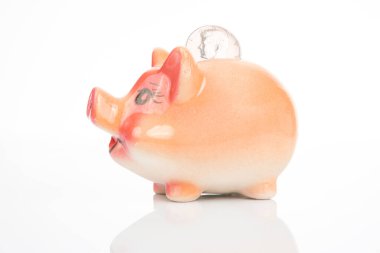 ceramic coin box in the shape of a pig. accumulation of finances and growth of monetary incomes. deposit and investment in business